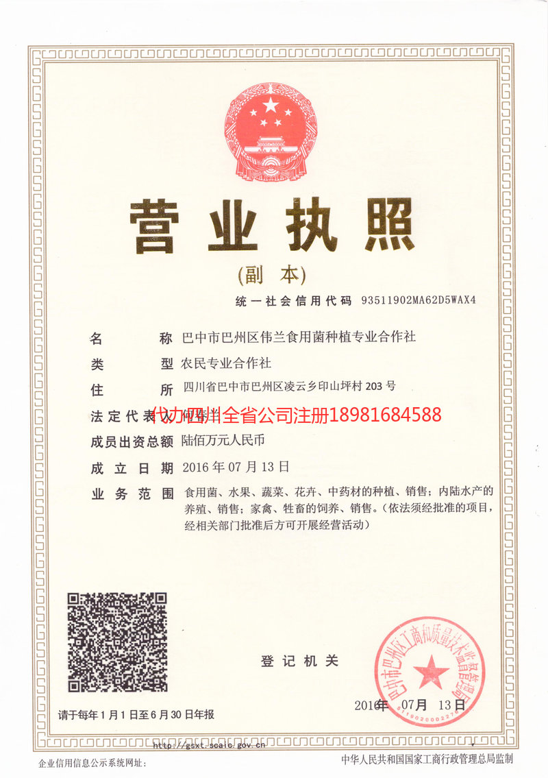 开封开封伟兰食用菌种植专业合作社